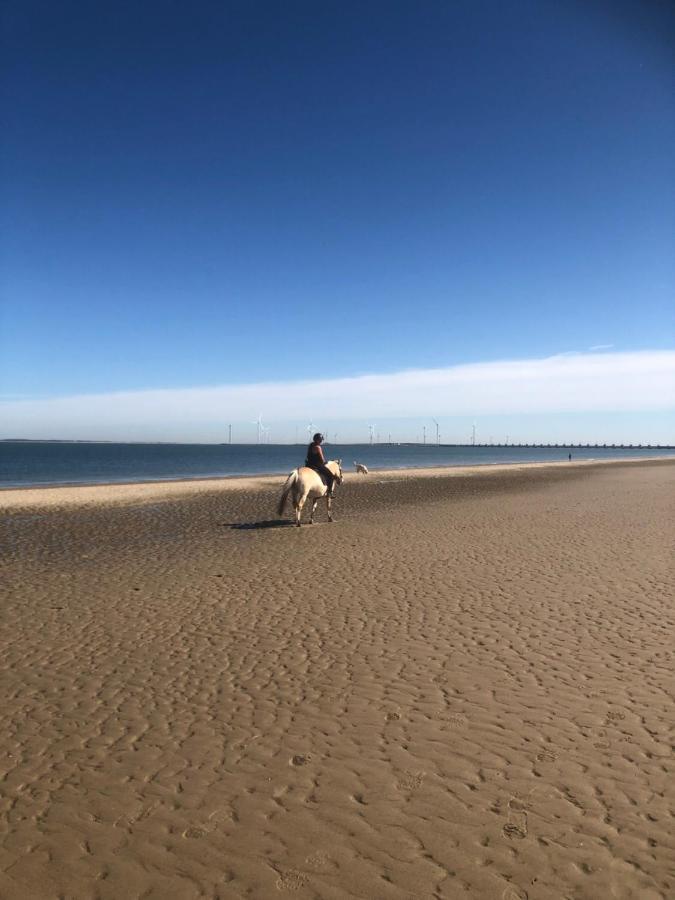 Dorpsdijk 49, Vrouwenpolder Vakantie Luaran gambar