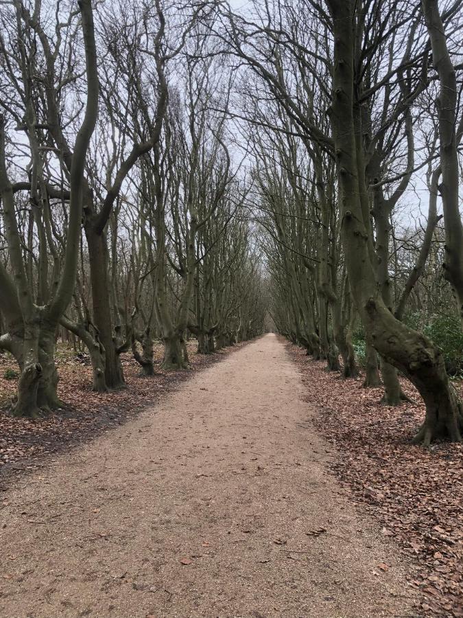 Dorpsdijk 49, Vrouwenpolder Vakantie Luaran gambar